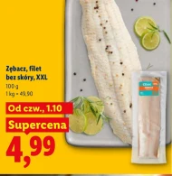 Zębacz filet