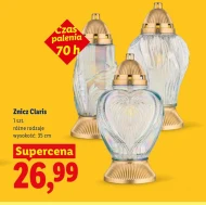 Znicz OH!