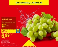 Winogrona