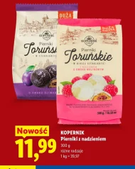 Pierniki w czekoladzie Kopernik