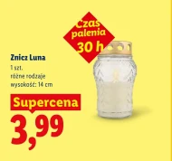 Znicz Luna