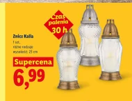 Znicz