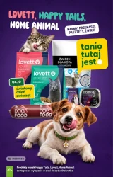 Tanie gotowanie w październiku - Stokrotka Market