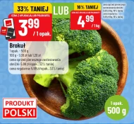 Brokuł