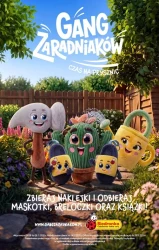Gang znów daje o sobie znać - Biedronka