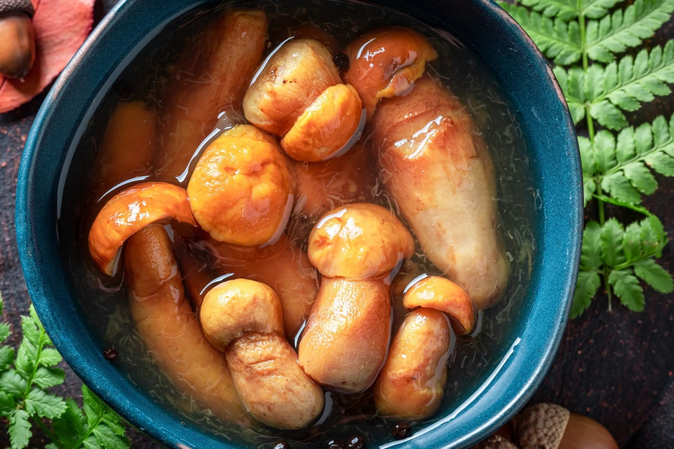 Marynowane borowiki amerykańskie to moje ulubione grzybki. Zalewa nie zabija smaku grzybków Marynowane borowiki amerykańskie w zalewie w niebieskiej misce, obok zielone liście paproci.