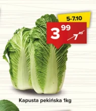 Kapusta pekińska