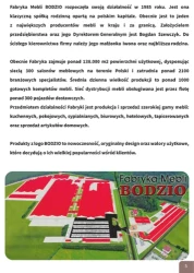 Meble, które tworzą dom - Bodzio
