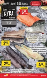 Czym lada bogata - POLOmarket