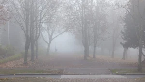 IMGW wydał ostrzeżenia przed gęstą mgłą (zdj. ilustracyjne)
