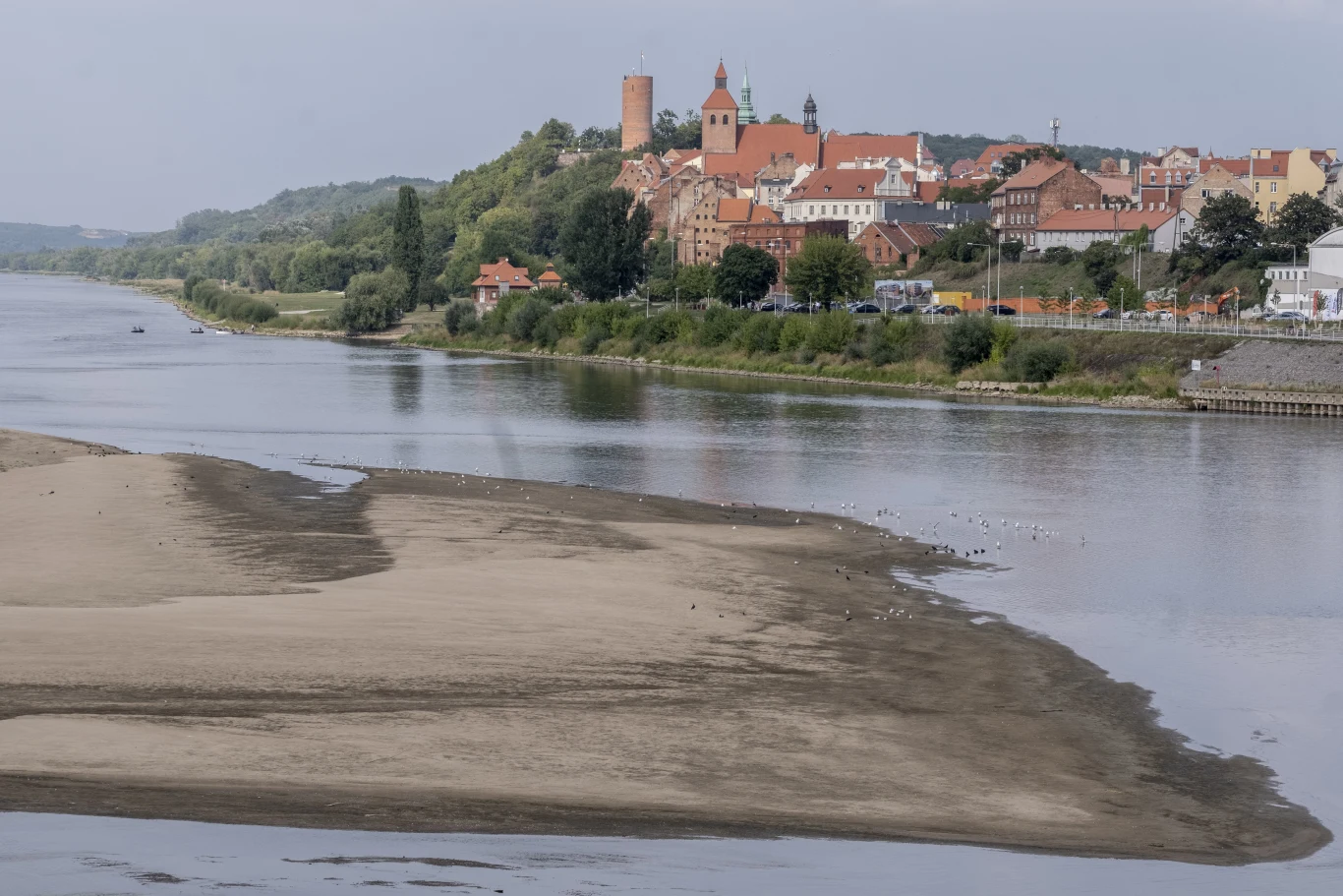Grudziądz. Motoparalotniarz runął do Wisły. Zmarł w drodze do szpitala, zdj. ilustracyjne Piaszczysta łacha na Wiśle w Grudziądzu, w tle średniowieczne miasteczko z kościołem na wzgórzu.