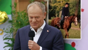 Premier Donald Tusk, w tle zdjęcie z jazdy konnej