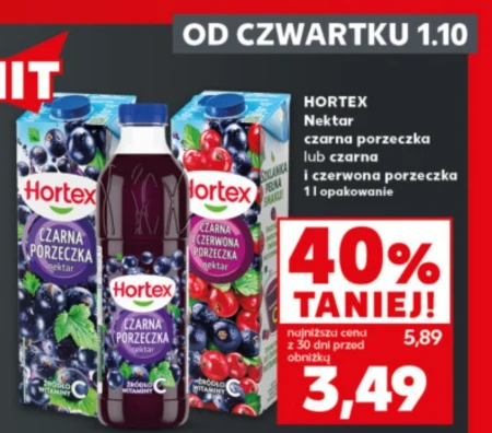 Чорна смородина Hortex