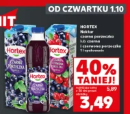 Чорна смородина Hortex