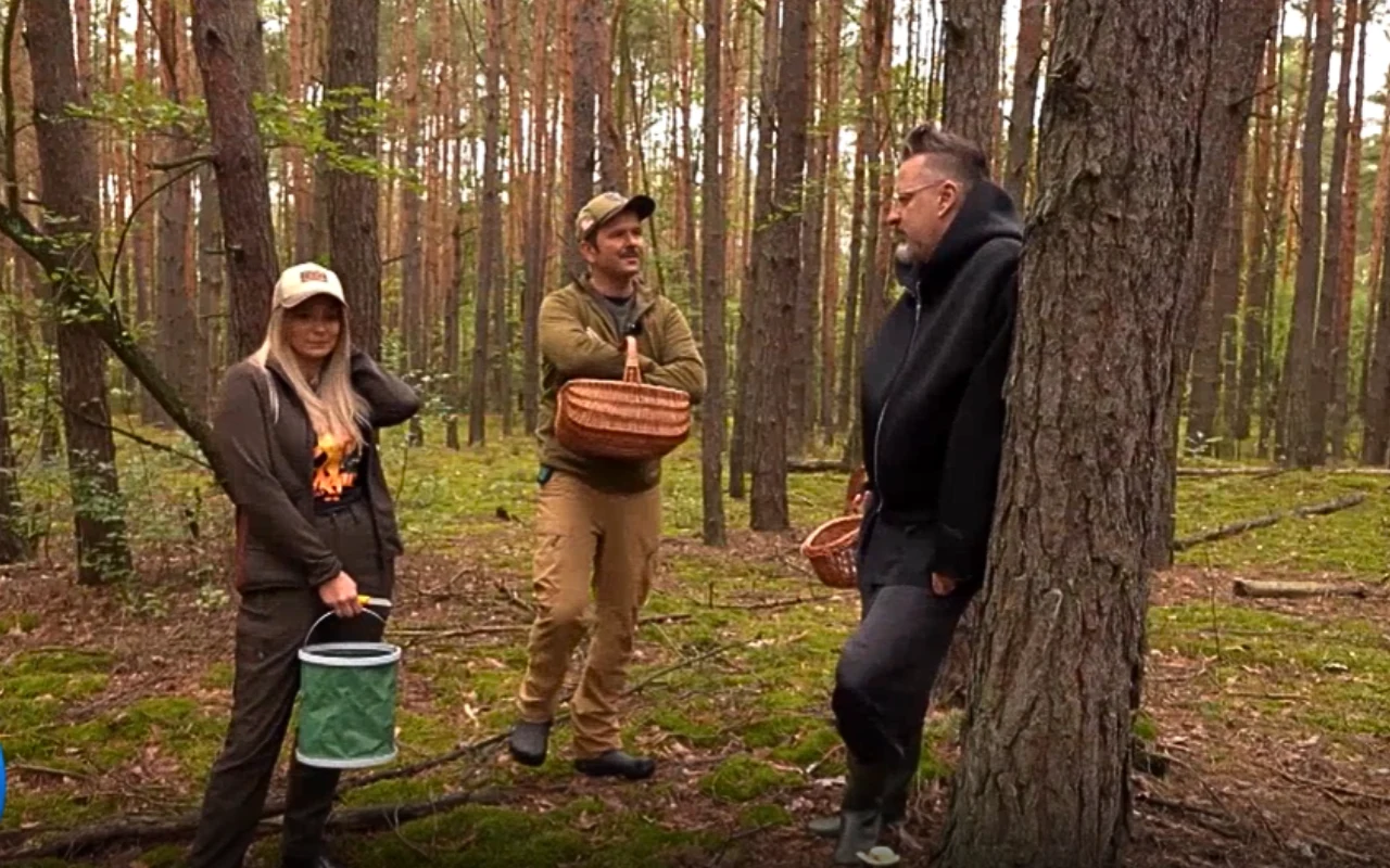 Trzy osoby stoją w lesie z koszykami i wiaderkiem, przygotowane do grzybobrania, otoczone wysokimi drzewami sosnowymi i zielonym mchem.