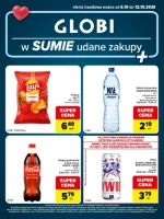 W sumie udane zakupy - Globi
