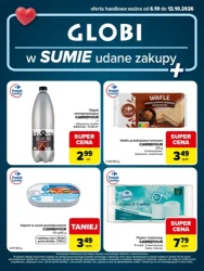 W sumie udane zakupy - Globi