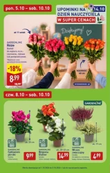 Włoska podróż pełna smaków - Aldi