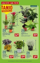 Włoska podróż pełna smaków - Aldi