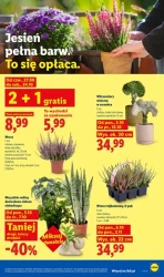 Codzienna porcja świeżości - Lidl