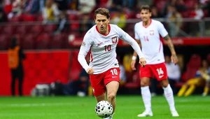 LN: Bośnia i Hercegowina - Polska. Gdzie i o której obejrzeć? [TRANSMISJA]