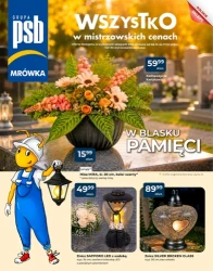 Czas na majsterkowanie - PSB Mrówka
