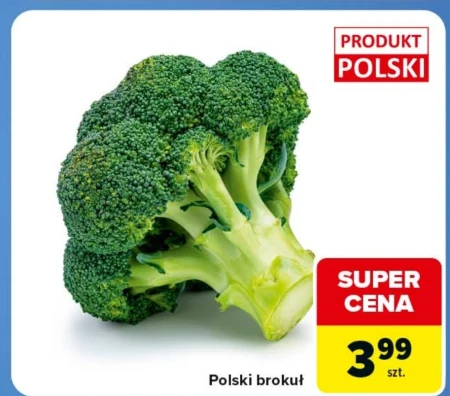 Брокколі Polski