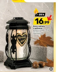 Znicz