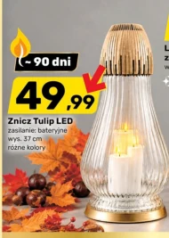 Znicz led