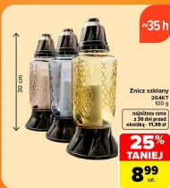 Znicz
