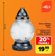Znicz