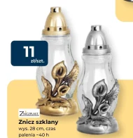 Znicz