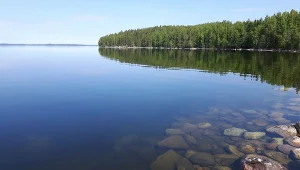 Do jeziora Saimaa wrzucono 1500 choinek
