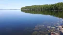 Do jeziora Saimaa wrzucono 1500 choinek