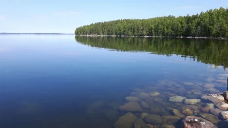Do jeziora Saimaa wrzucono 1500 choinek