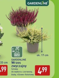 Wrzos Gardenline