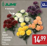 Хризантема Jumi