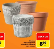 Donica