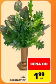 Liść dekoracyjny