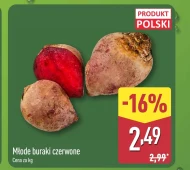 Buraki młode Polski