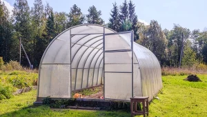 Jesienne porządki w szklarni i tunelu foliowym ograniczają ryzyko chorób i ataku szkodników w kolejnym sezonie.