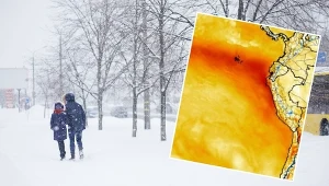 Zima w Polsce może być mroźna. Winne potężne El Niño i wir polarny