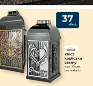Znicz