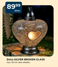 Znicz Silver