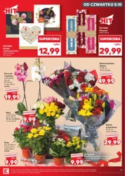 Najlepsze świeże produkty - Kaufland