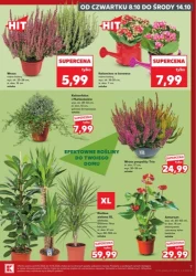 Najlepsze świeże produkty - Kaufland