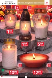 Blask pełen wspomnień- Selgros Cash&Carry