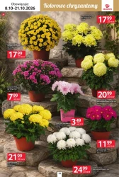 Blask pełen wspomnień- Selgros Cash&Carry