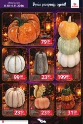 Halloween! - Selgros Cash&Carry