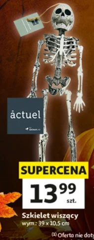 Скелет Actuel